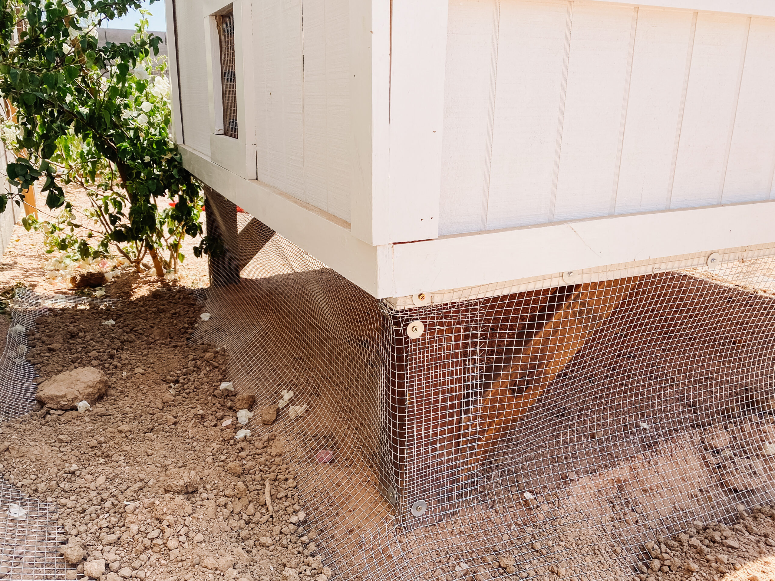 burying the hardware cloth to make this chicken coop predator proof #thelovedesignedlife #theldlhome #predatorproofchickencoop #DIYchickencoop