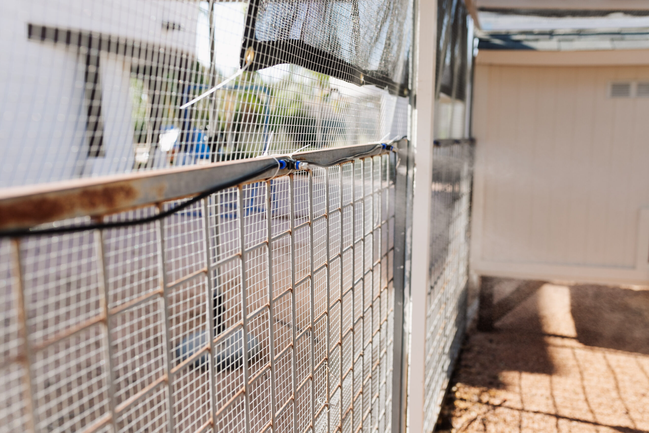 misters inside our desert chicken coop and run to keep them cool in the summer. #thelovedesignedlife #desertliving #desertchickens #backyardchickens