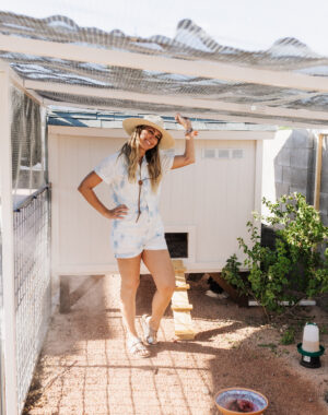 chicken coop and run DIY build #thelovedesignedlife #theldlhome #DIY #backyardchickens