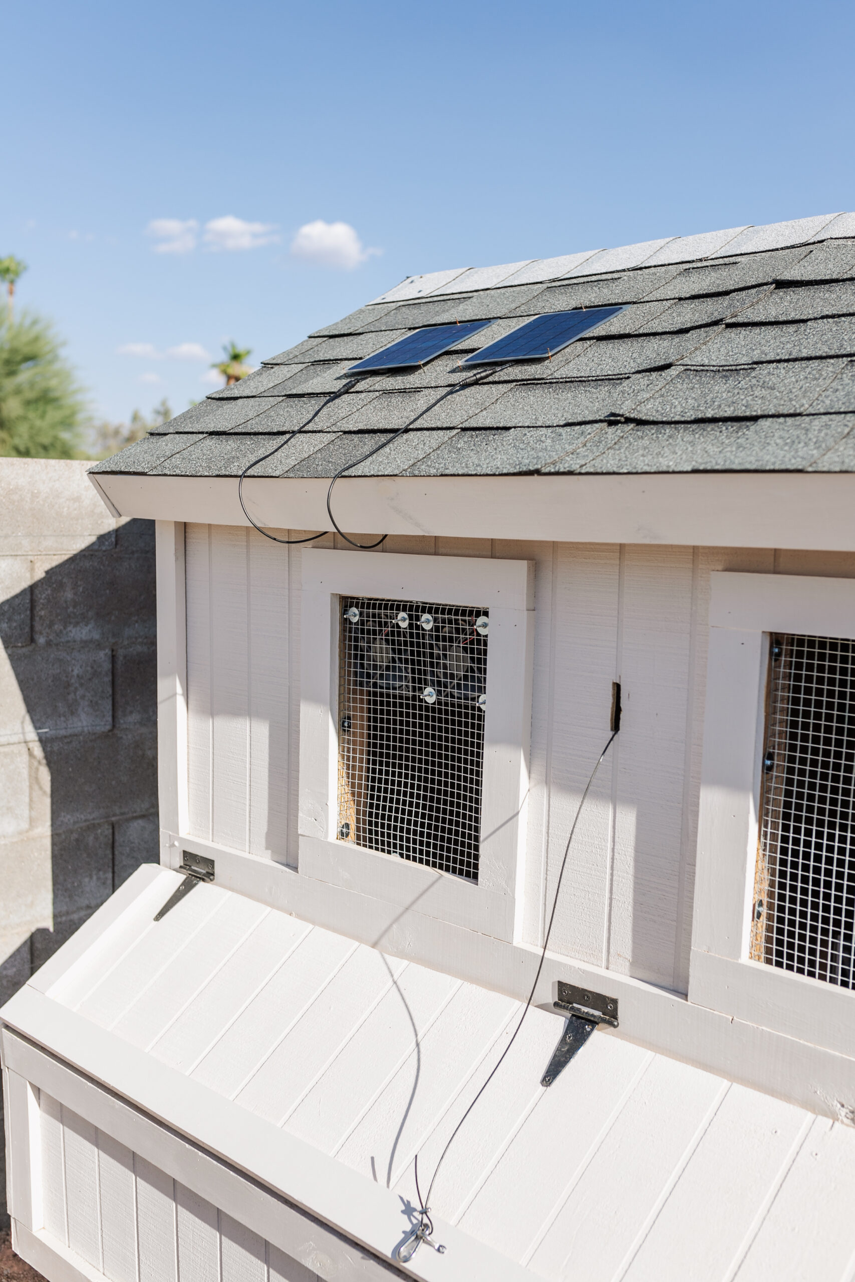 we added these small solar exhaust fans to keep airflow moving inside the coop