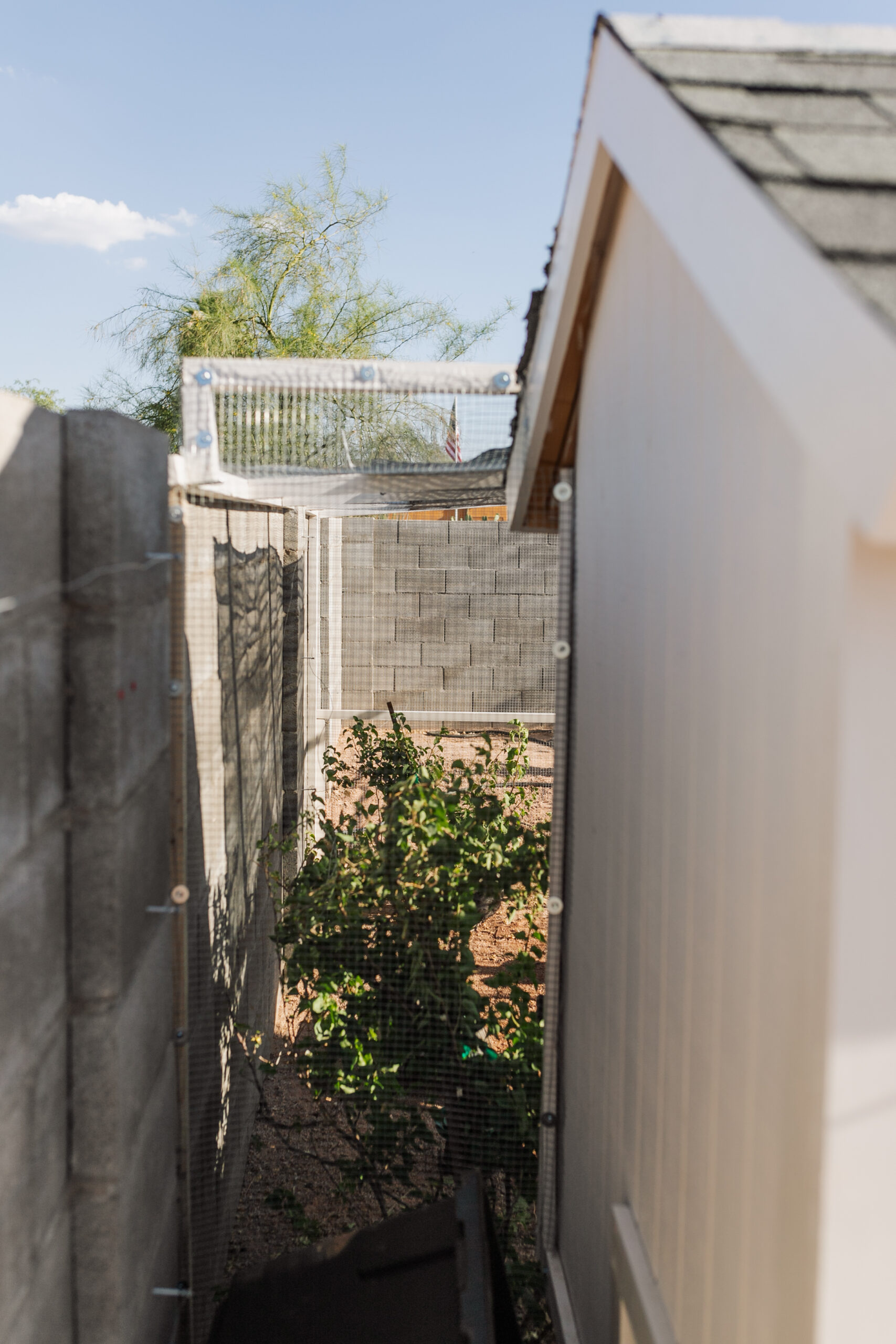 filling in every gap with 1/2" hardware cloth made our chicken run predator proof #thelovedesigneldife #backyardchickens #predatorproof run