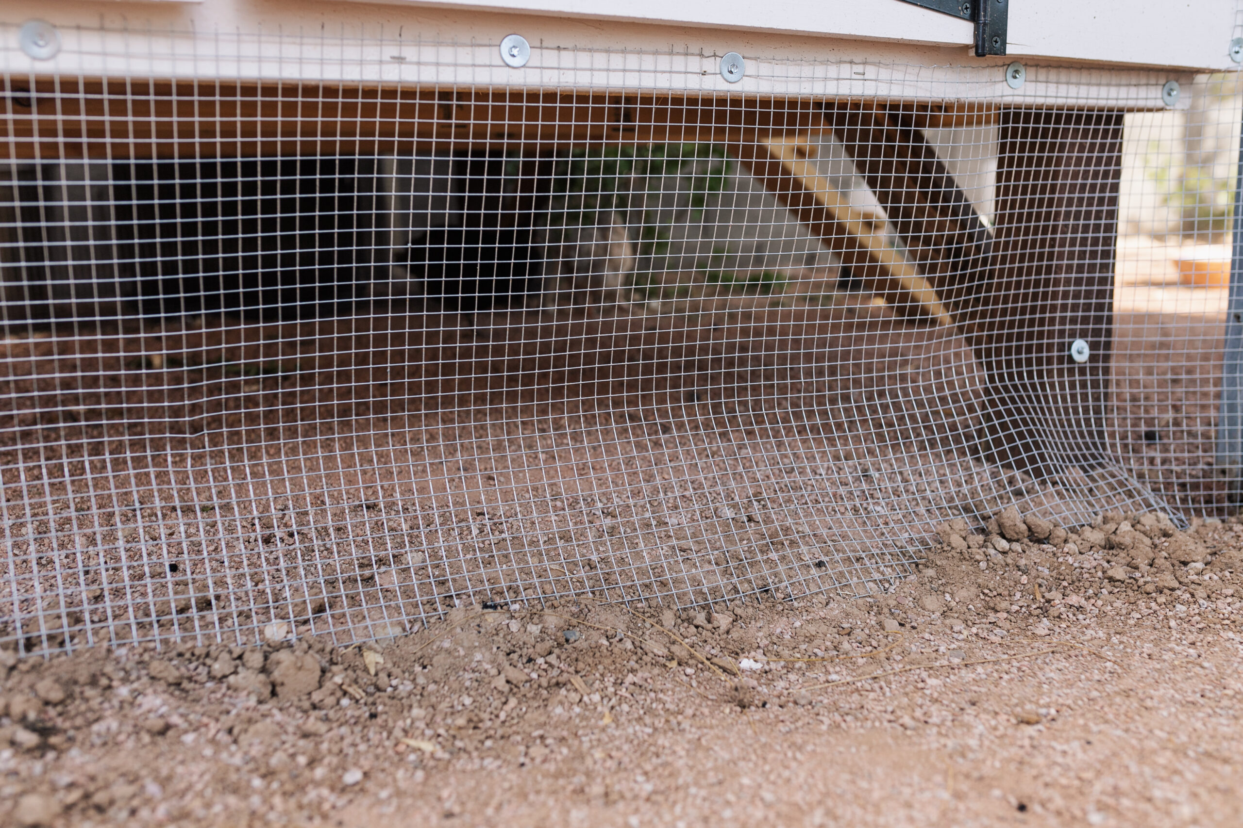 we ran this hardware cloth all the way around the coop base and dug it down about 6" and out 2' #thelovedesigneldife #hardwarecloth #predatorproof #chickencoop #DIYchickencoop #chickenrun