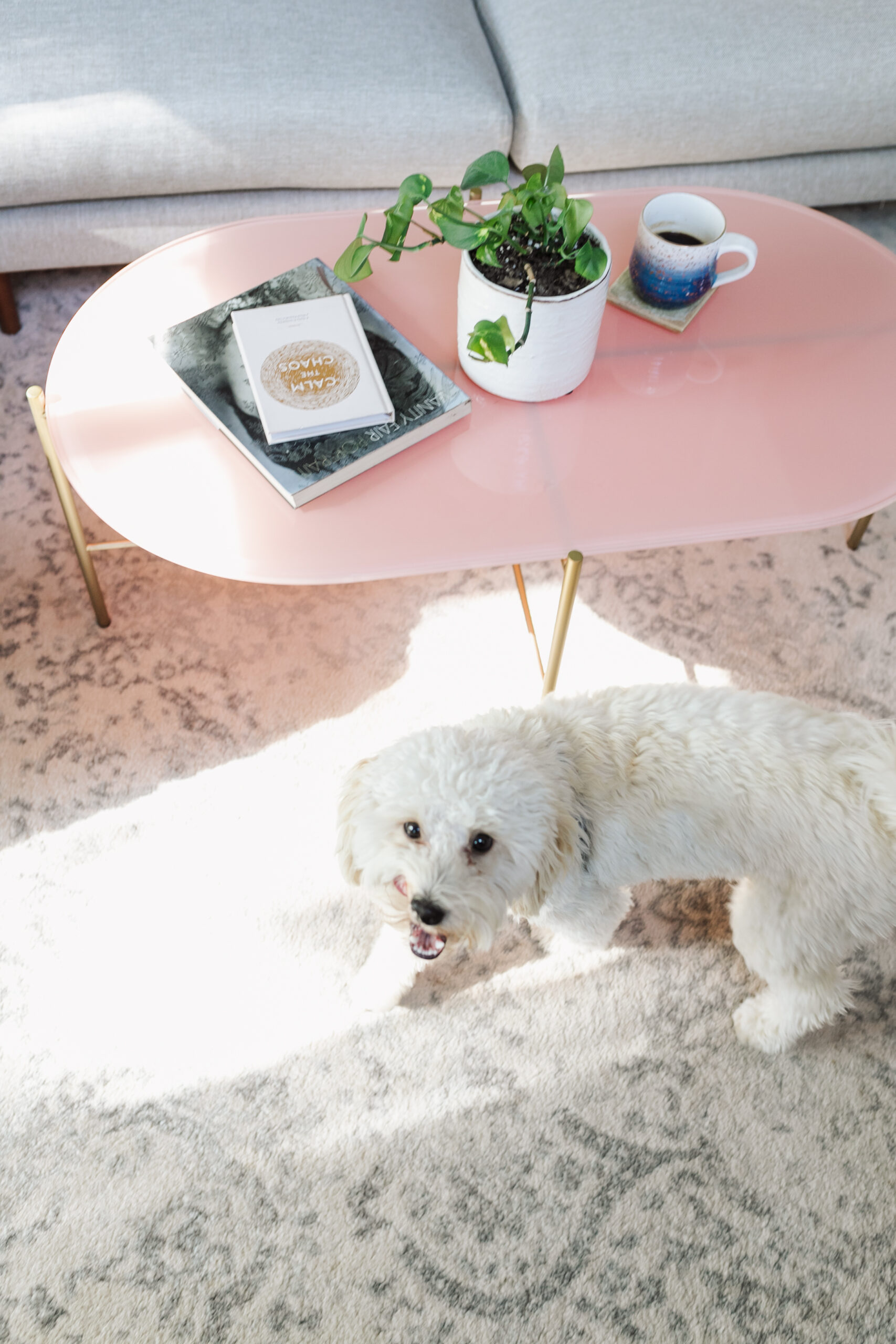 cute pup not included ;) #modernmountainlivingroom #labradoodle #cofffeetable