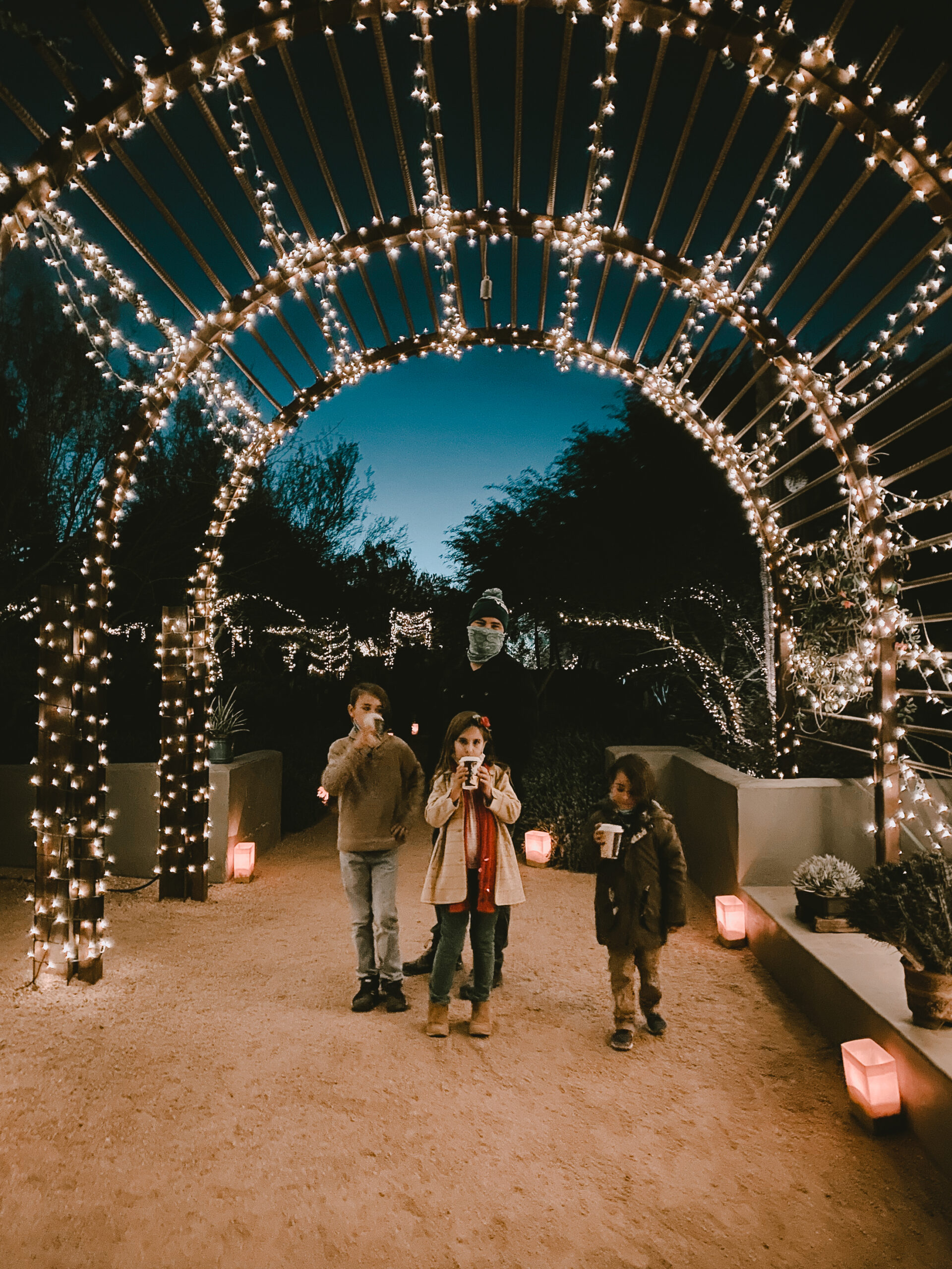 holiday lights and luminarias at the desert botanical gardens in phoenix, arizona #holidayfun #holidaysinphoenix #familyactivities