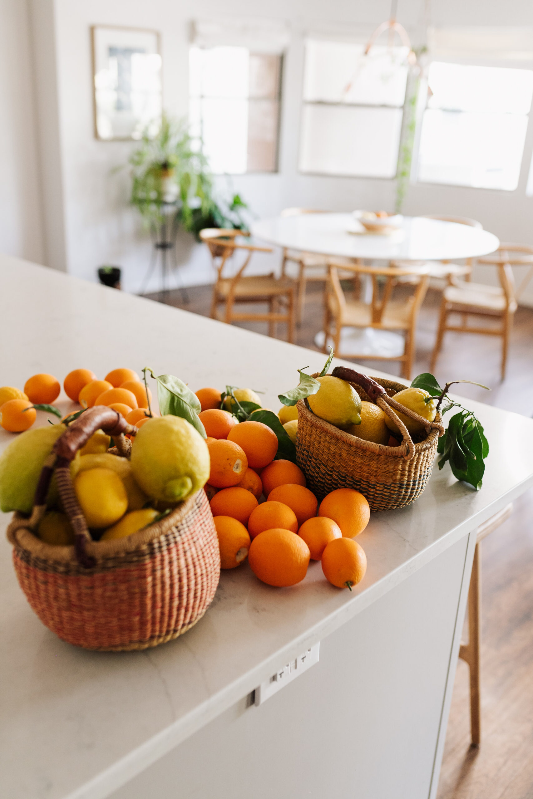 bountiful citrus from our own backyard trees #citrusseason #arizonacitrus #modernkitchen #mcm #wishbonechair