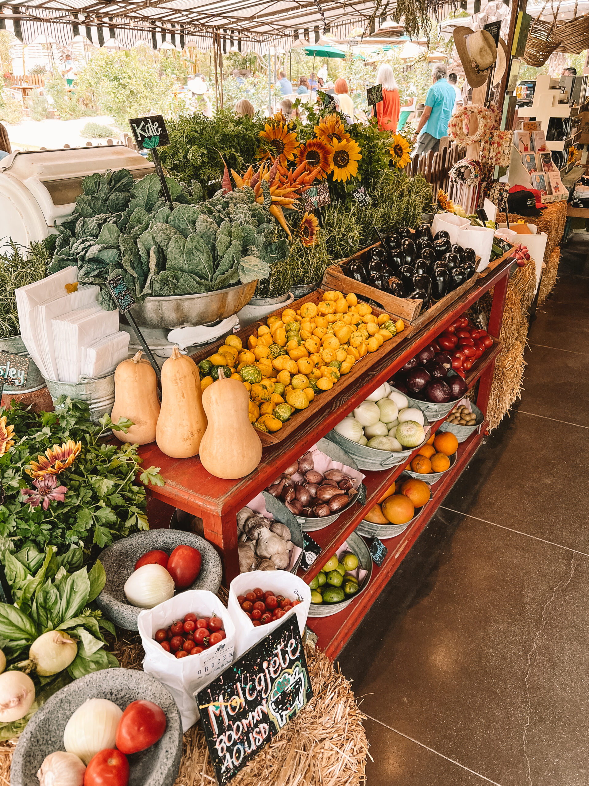 so much beauty to take in at Flora Farms, just inland of Cabo #theldldtravles #florafarms #whattodoincabo #visitmexico