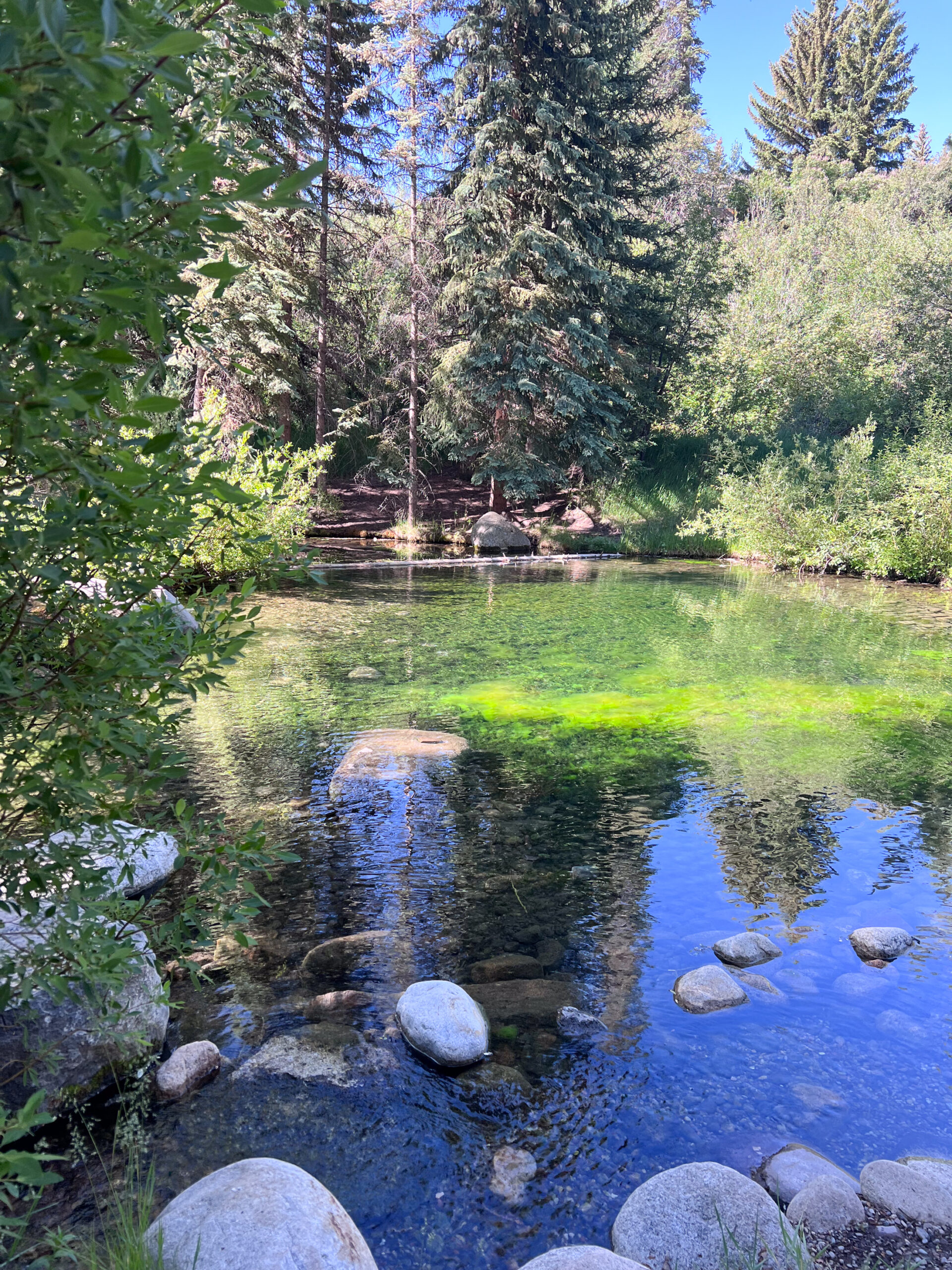 Explore Hallam Lake at the local ACES nature preserve in Aspen, Colorado. #familytravel #scienceandnature #aspencolorado