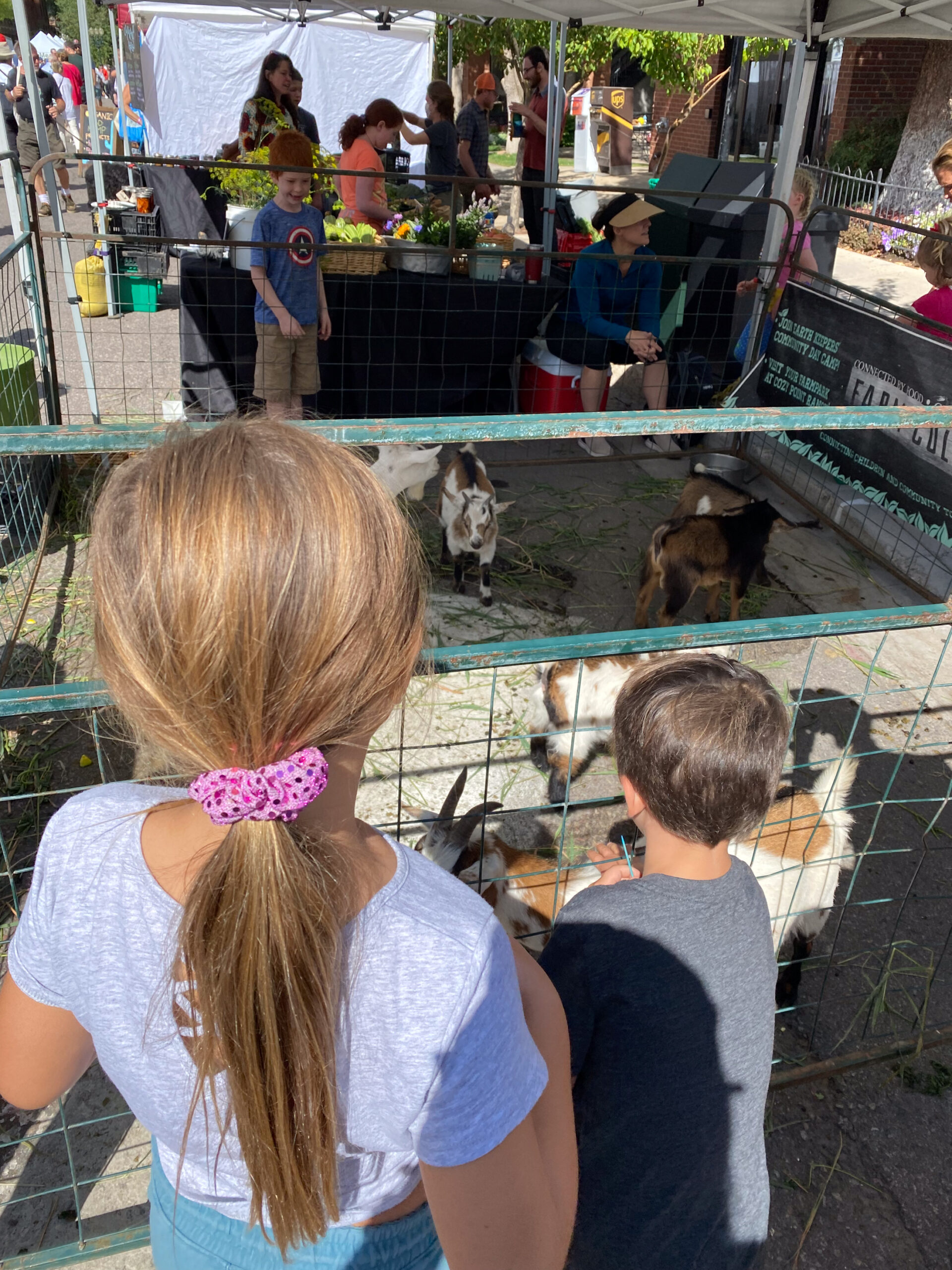 the kids love the little petting area with local baby farm animals at the Aspen Farmers' Market #aspenfarmersmarket #summerinaspen #visitcolorado 