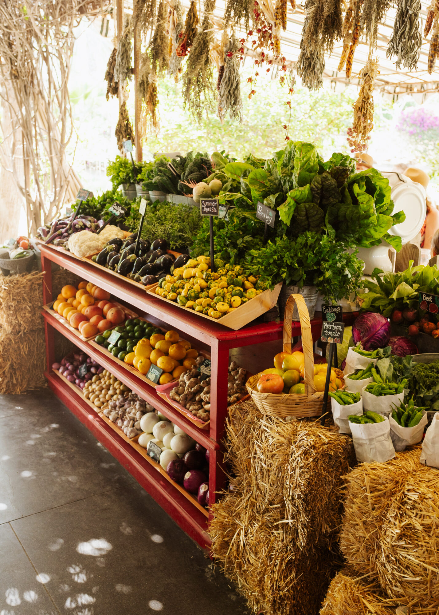 explore the fresh farm stand at Flora Farms in Cabo