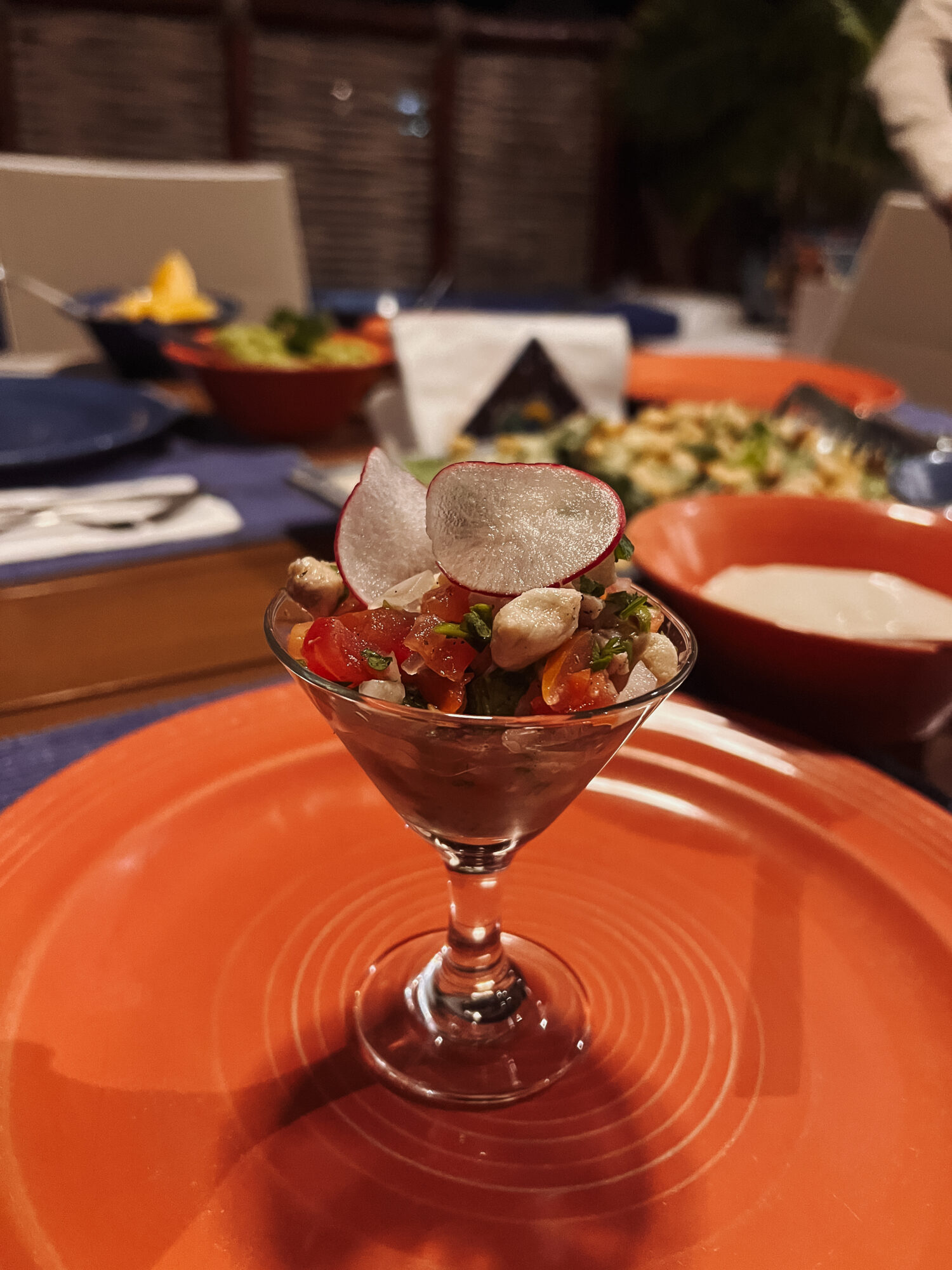 our personal chef literally catered to anything we needed, including a last minute ceviche order