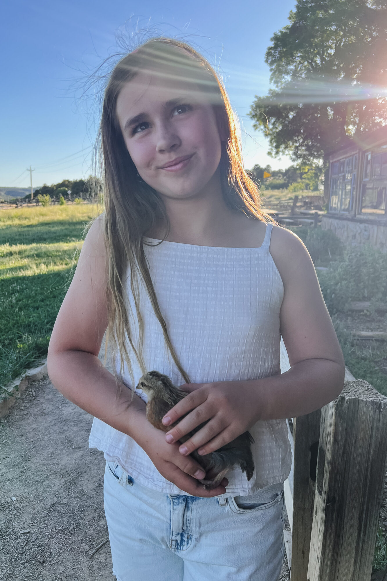 the chickens were very flexible with the kids holding them