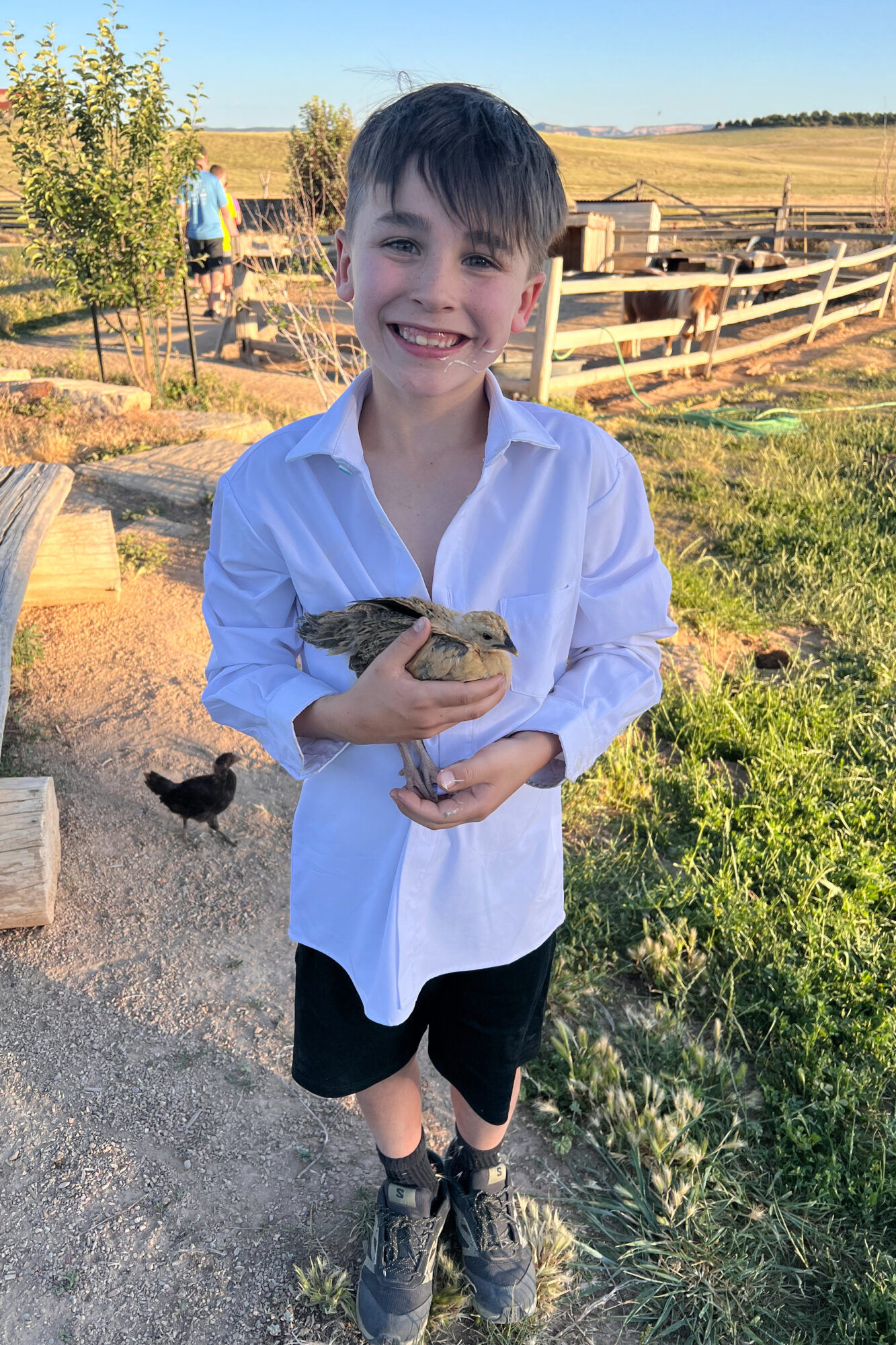 the kids were especially obsessed with the young chicks, who were pretty flexible letting the kids hold them